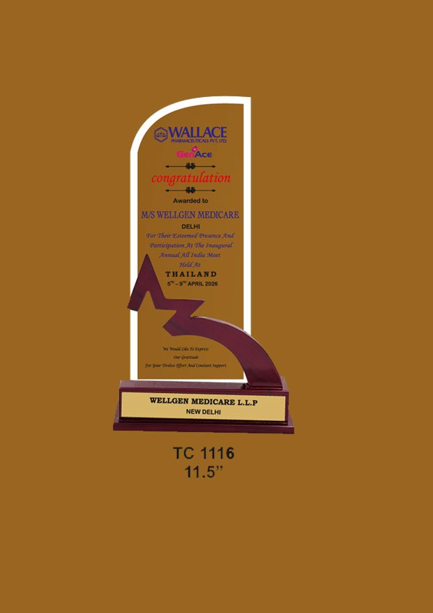 Acrylic-special-College-Trophy-Manufacturer-1020