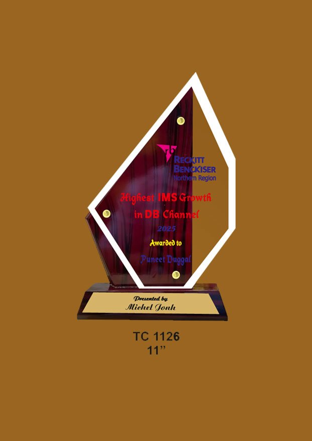 Acrylic-Corporate-sales-Trophy-supplier-1030