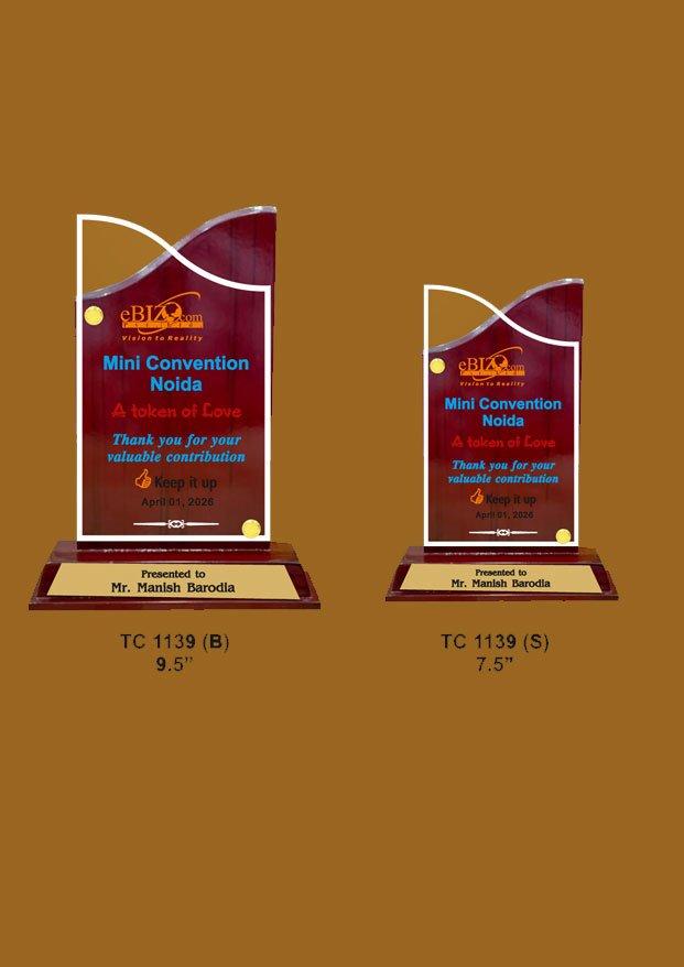Acrylic-Bank-Trophy-Manufacturer-1039