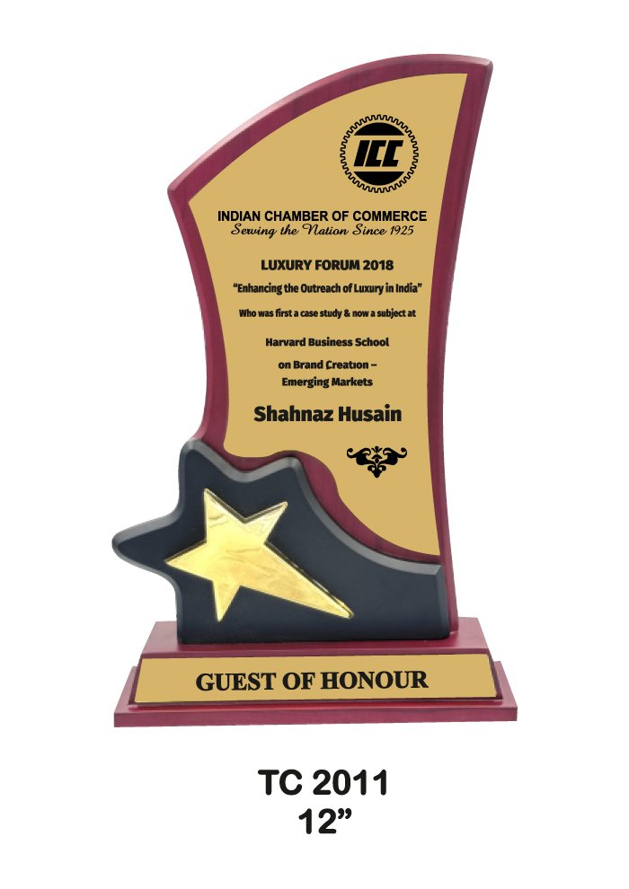 Wooden trophy manufacturer in Delhi.