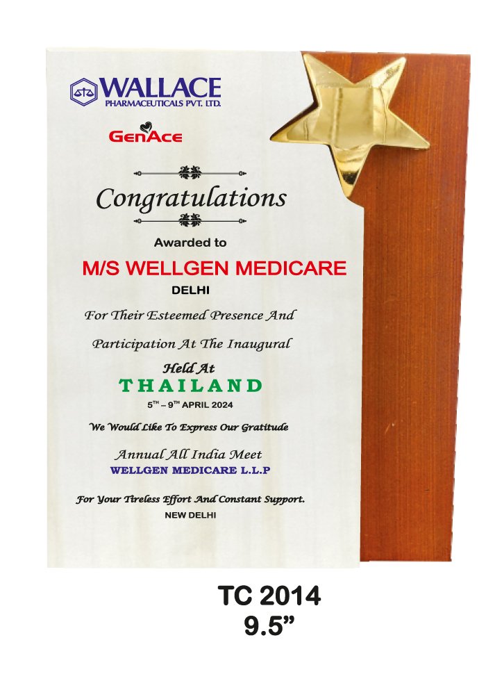 Wooden Trophy Supplier in NCR