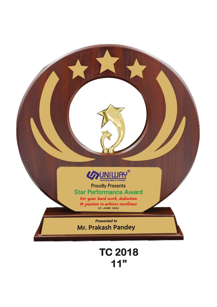 Wooden Trophy Seller in Noida