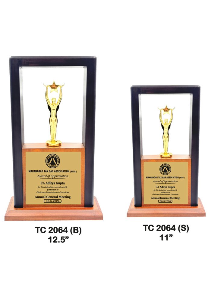 Big Wooden Trophy Maker