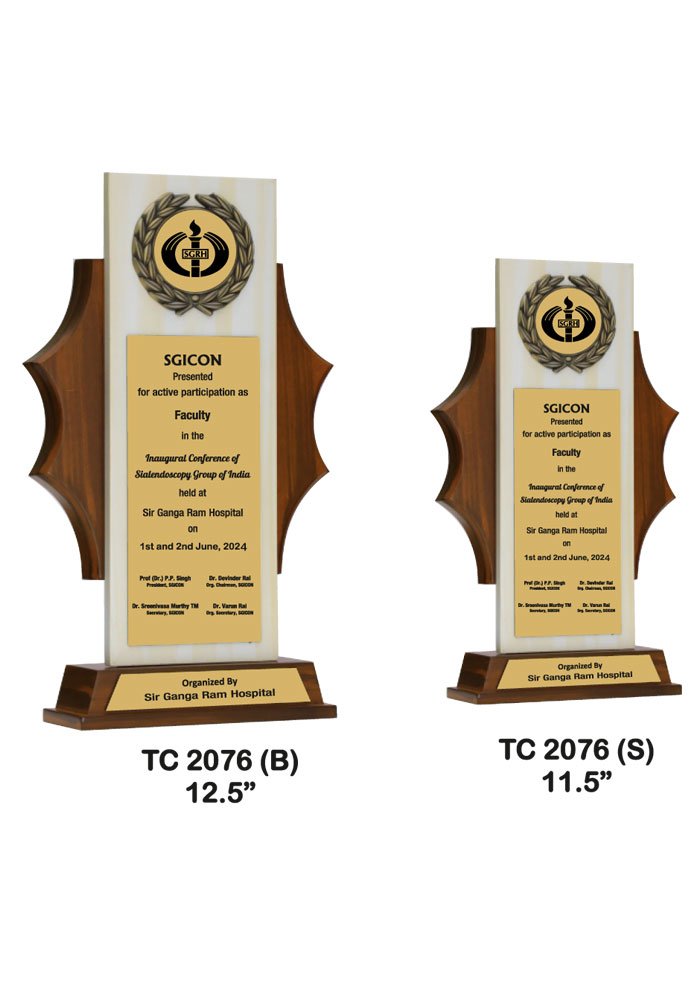 Wooden Trophy maker for Events in Chandigarh