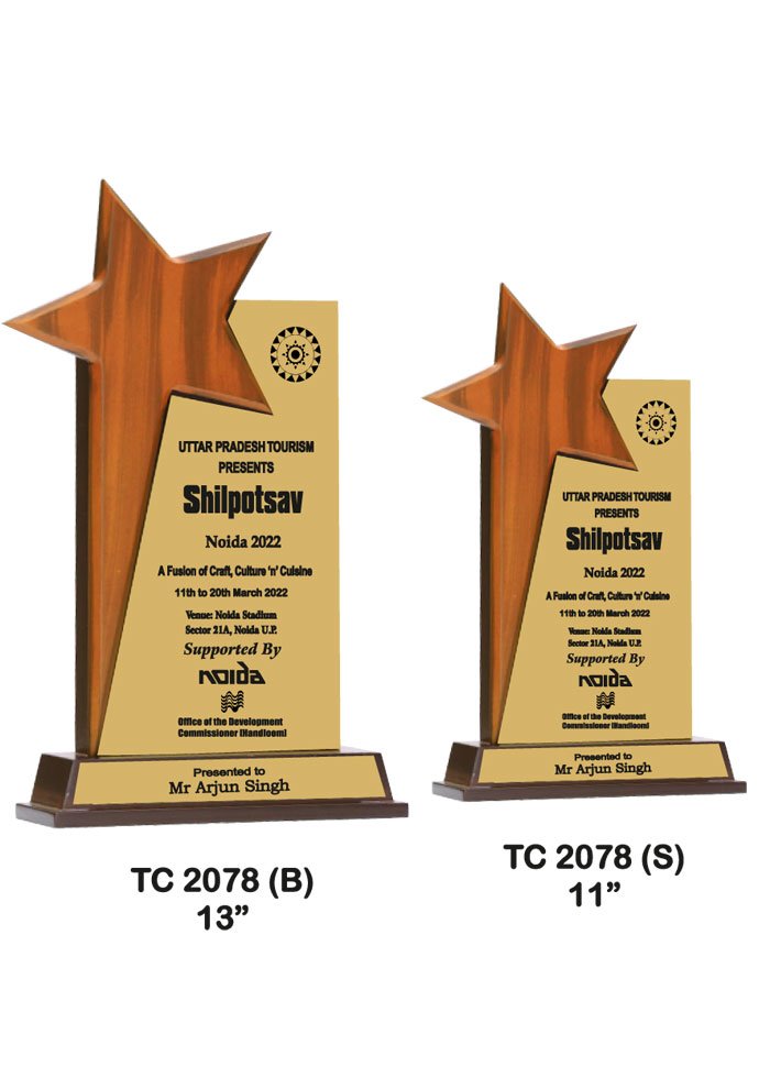 Wooden Trophy supplier in Delhi