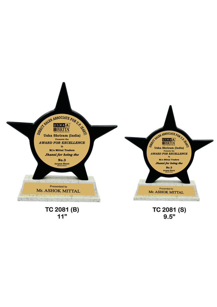Wooden Trophy Supplier in Haldwani