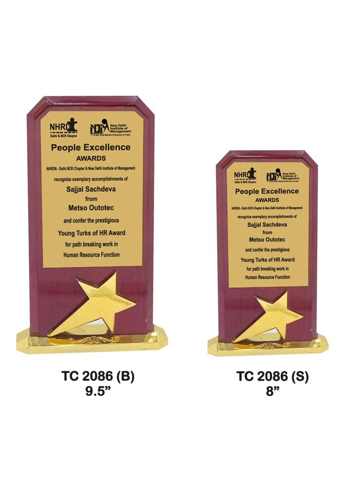 Wooden Trophy Supplier in Jodhpur