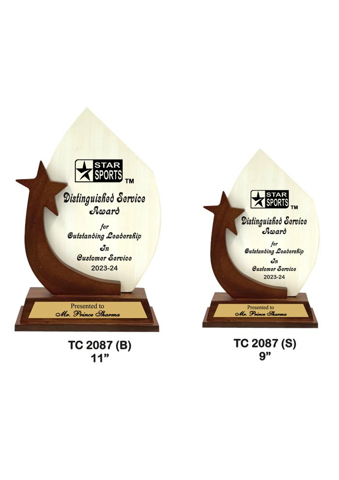Wooden Trophy Supplier in Pathankot