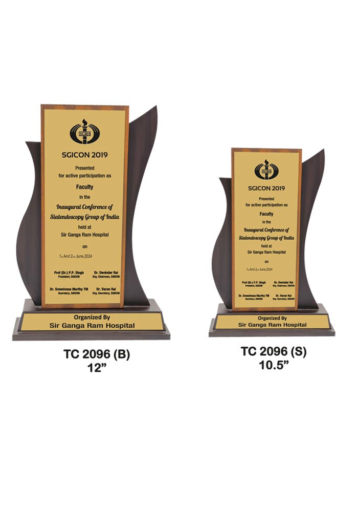 Wooden Trophy Supplier in Mathura