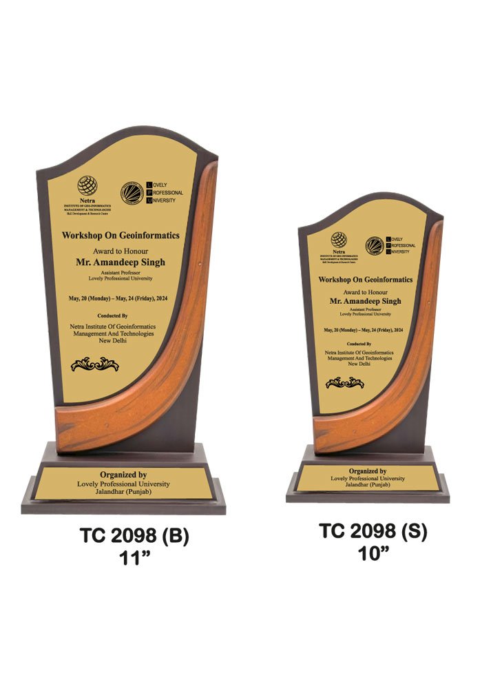 Wooden Trophy Supplier in Varanasi