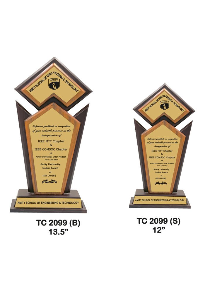 Wooden Trophy Supplier in Bhubaneshwar