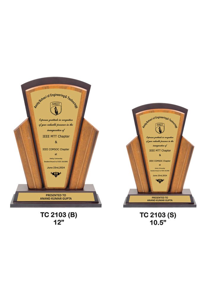 Wooden Trophy Supplier in Ghaziabad