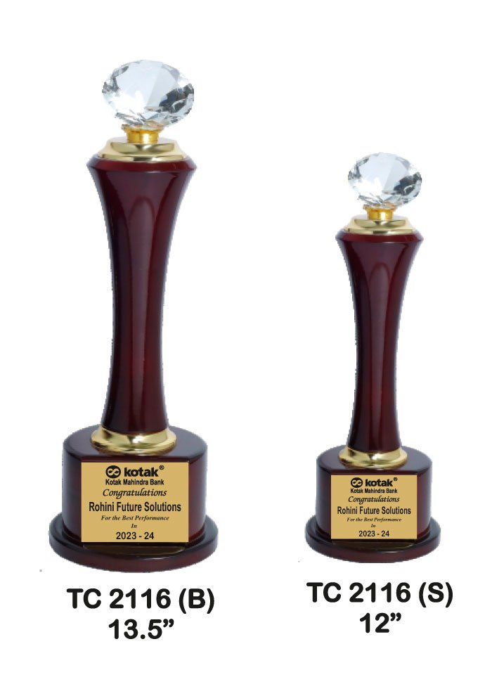 Wooden Trophy Supplier in Jodhpur