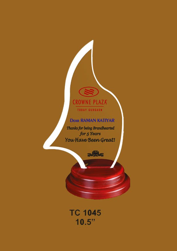 Acrylic Trophy Supplier in Delhi
