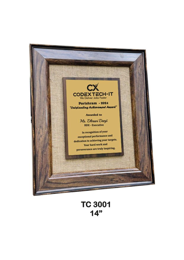 Plastic Frame Trophy