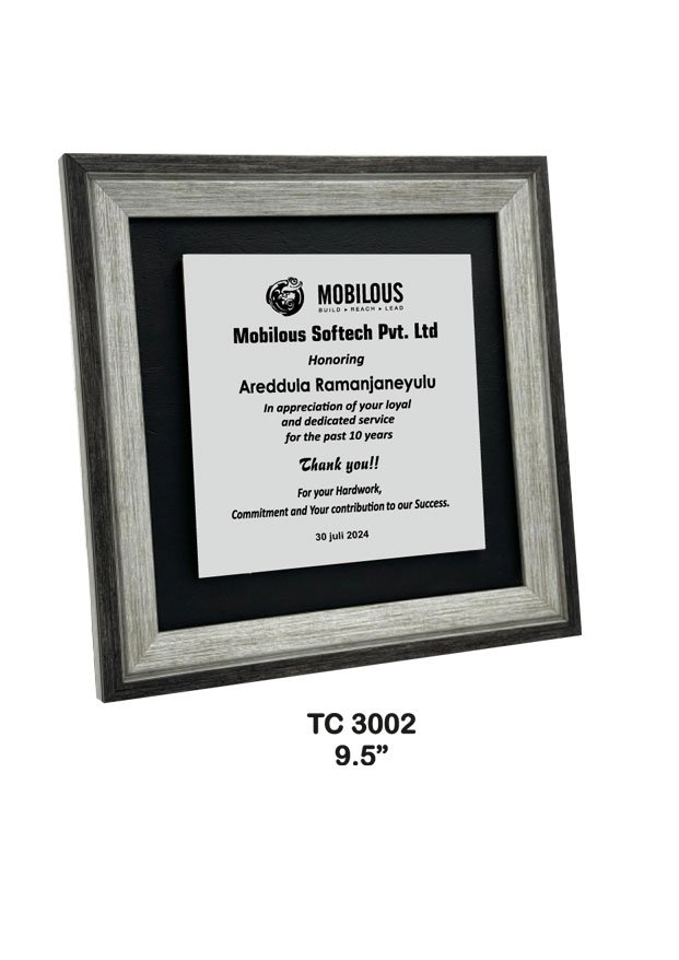 Plastic Frame Trophy Manufacturer Delhi