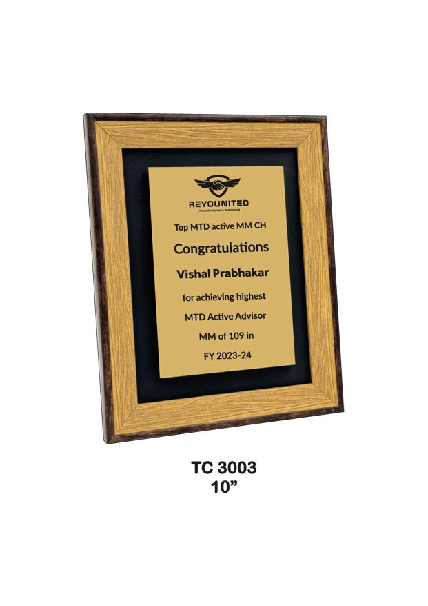 Plastic Frame Trophy maker in India