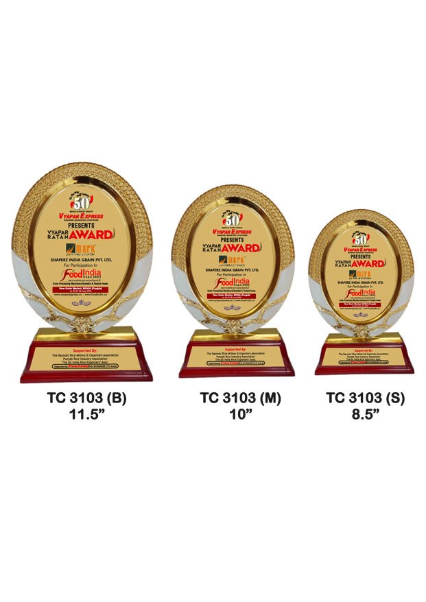 Customized-corporate-plastic-frame-trophy-manufacturer-3103