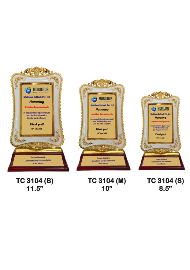 Customized-industrial-plastic-frame-trophy-manufacturer-3104