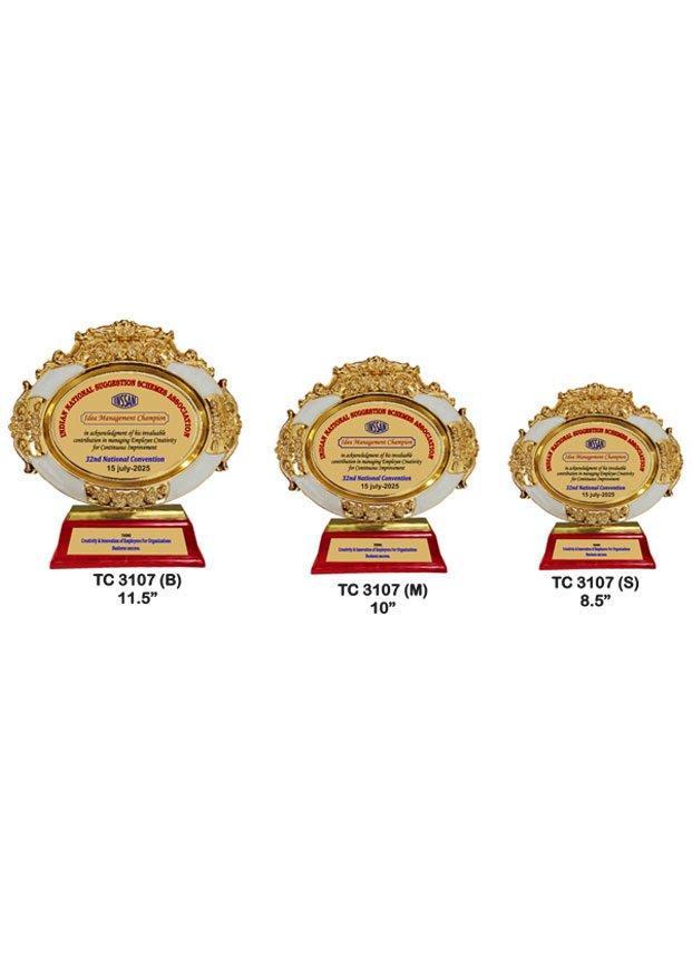 Customized-corporate-plastic-frame-trophy-3107