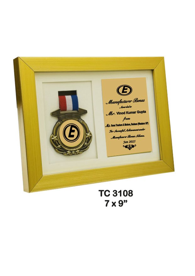 Customized-iindustrial-plastic-frame-trophy-manufacturer-3108