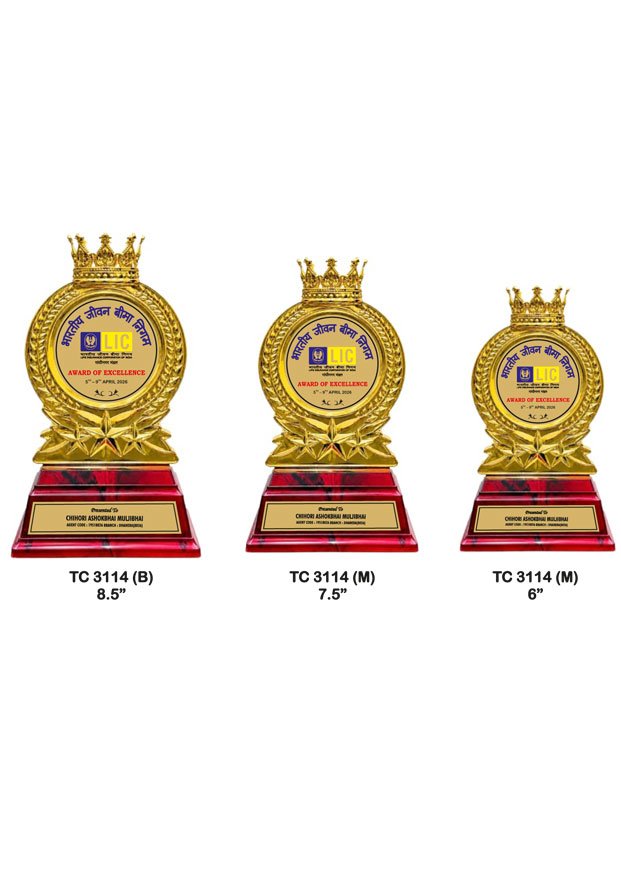 Customized-iindustrial-plastic-frame-trophy-manufacturer-3109