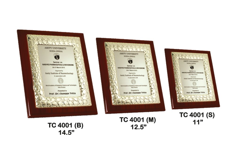 Metal Frame Trophy Manuafcturer in Delhi