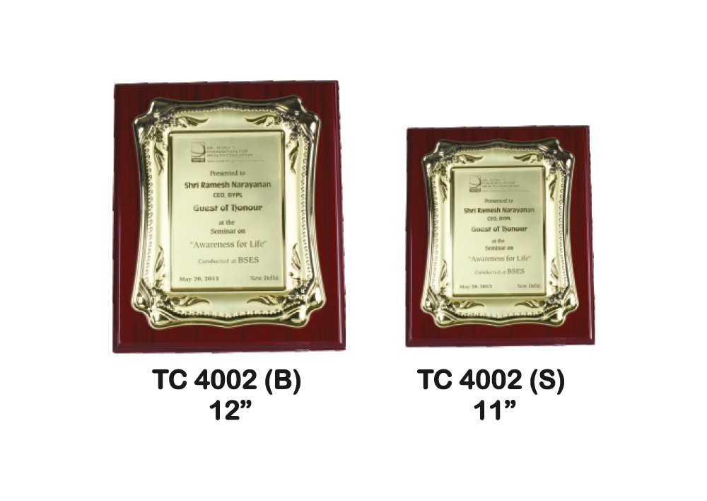 Metal Frame Trophy Manuafcturer in Delhi