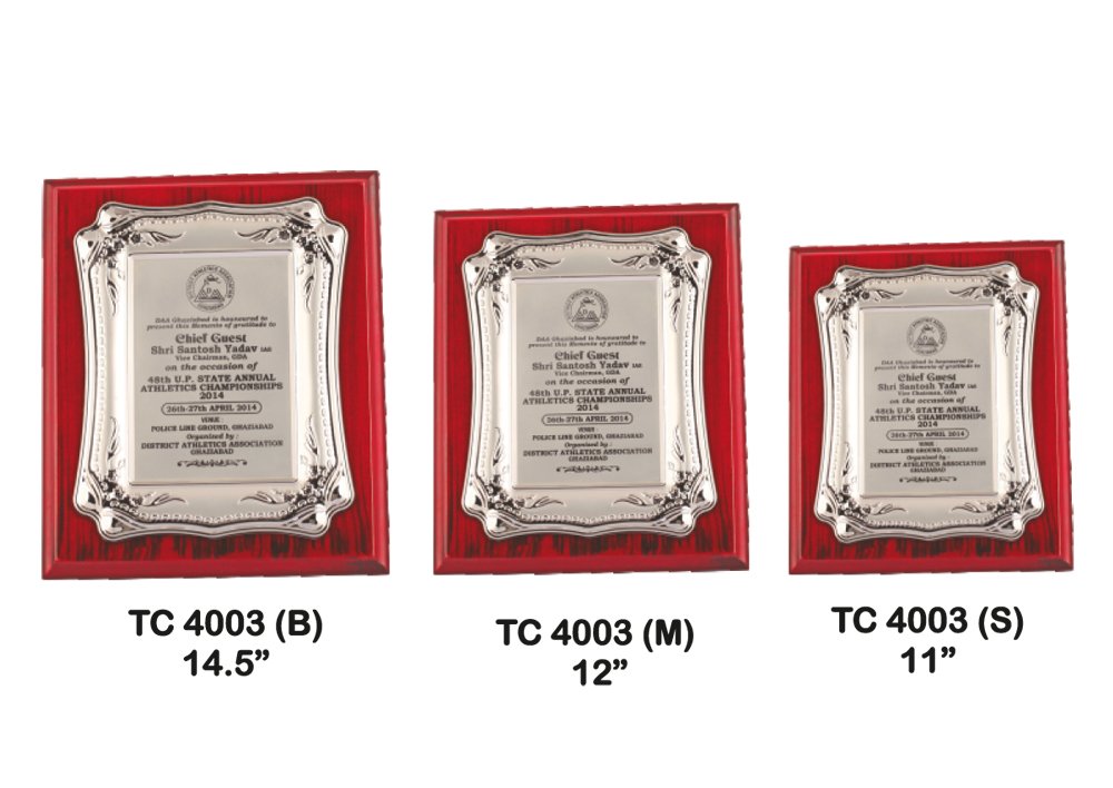Metal Frame Trophy Manuafcturer in Delhi