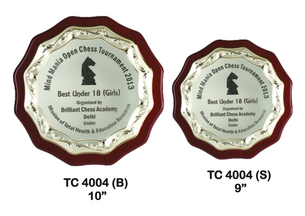Metal Frame Trophy Manuafcturer in Delhi