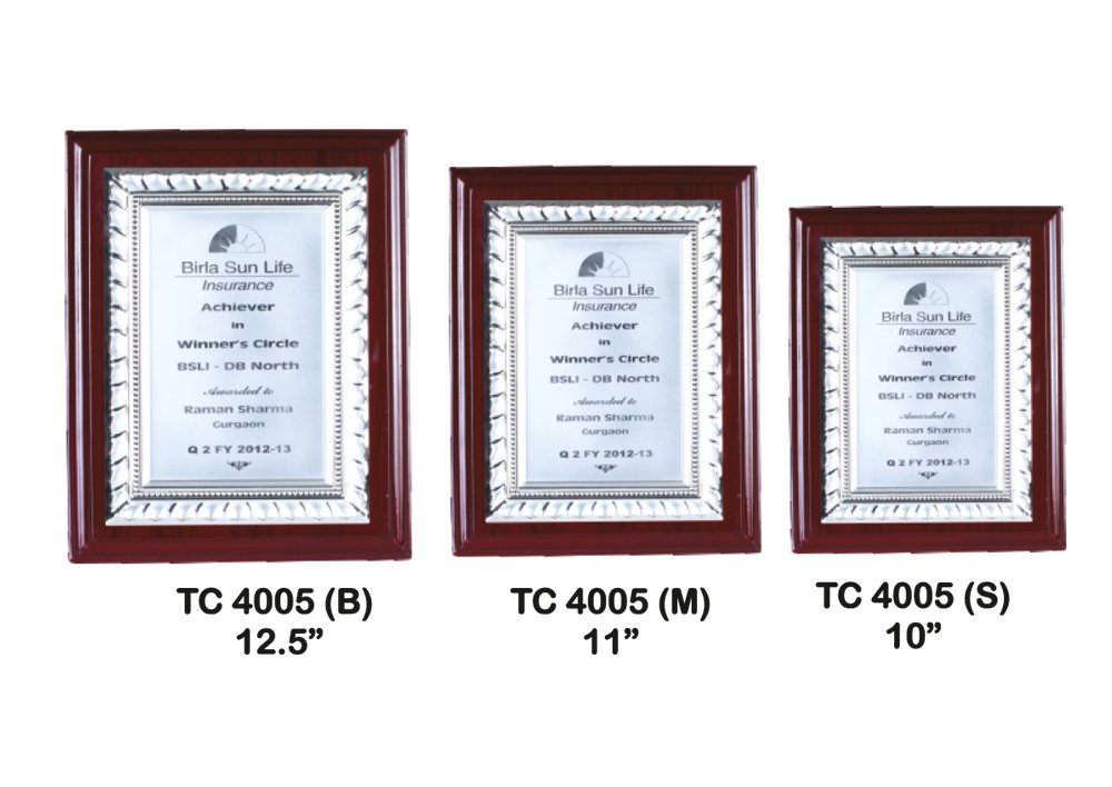 Metal Frame Trophy Maker in Delhi