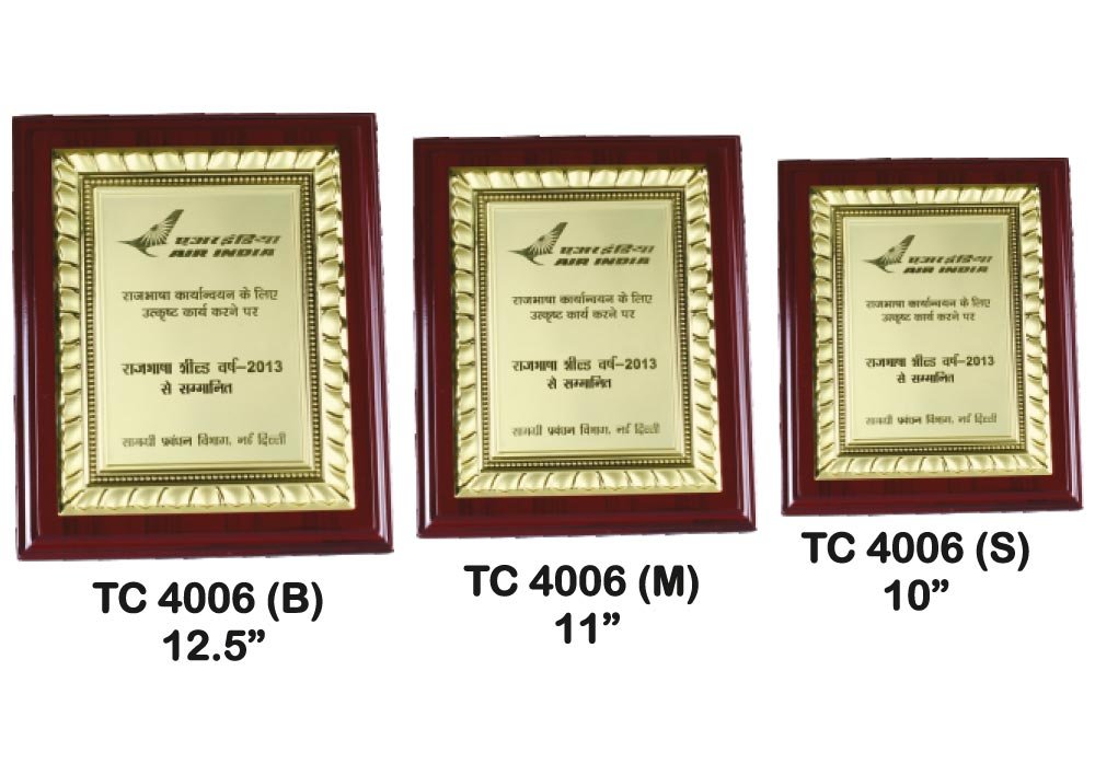 Metal Frame Trophy Manuafcturer in Delhi