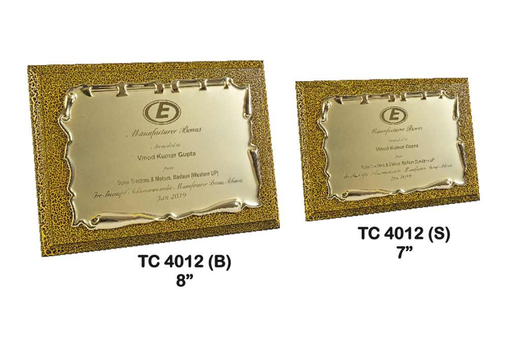 Metal Frame Trophy Manuafcturer in Delhi