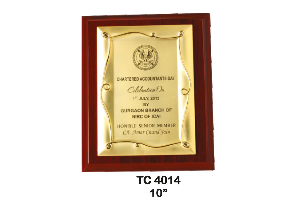 Metal Frame Trophy Manuafcturer in Delhi