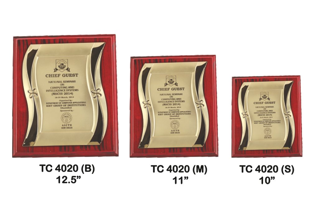Metal Frame Trophy Manuafcturer in Delhi