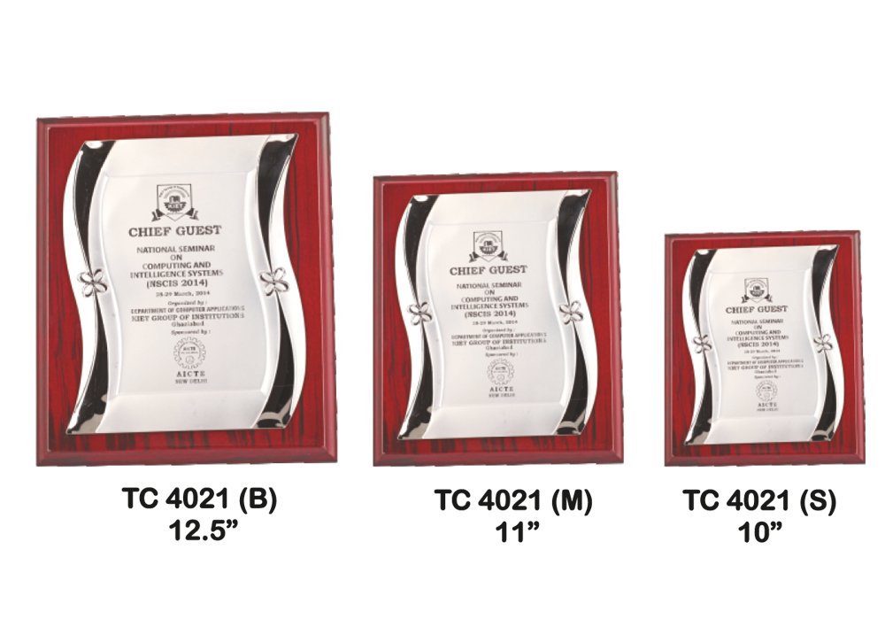 Metal Frame Trophy Manuafcturer in Delhi