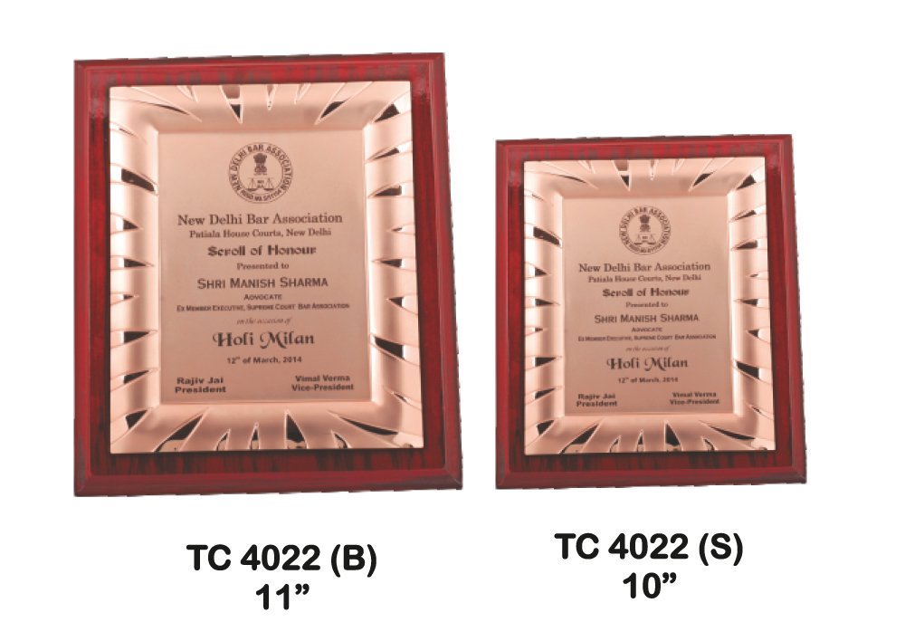 Metal Frame Trophy Manuafcturer in Delhi