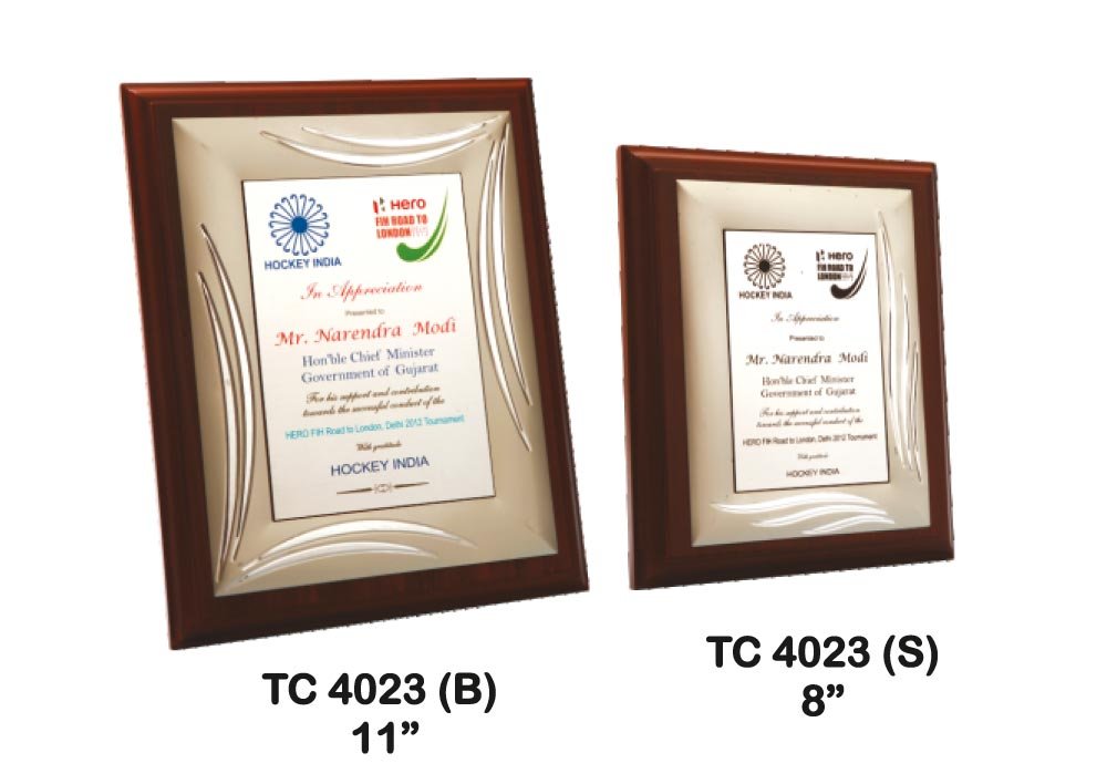 Metal Frame Trophy Manuafcturer in Delhi