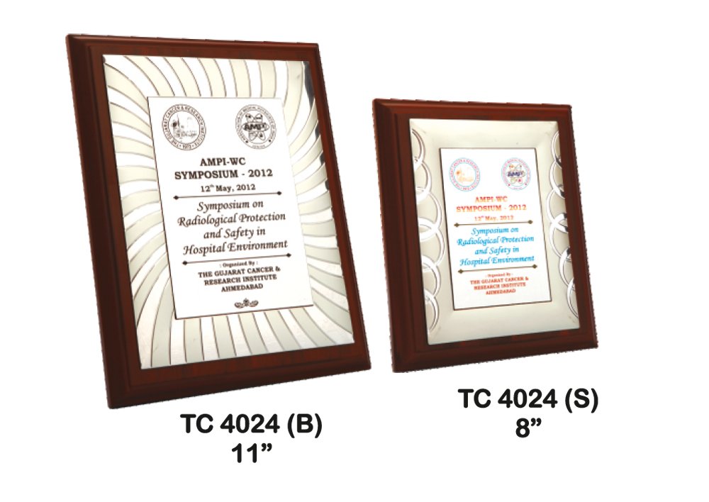 Metal Frame Trophy Manuafcturer in Delhi