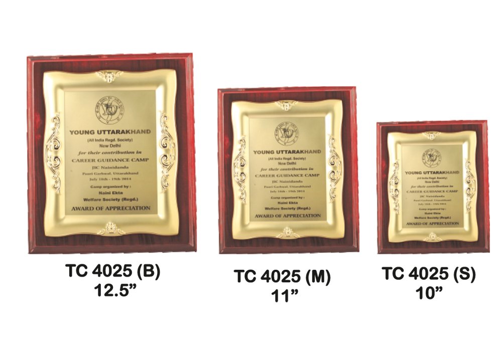 Metal Frame Trophy Manuafcturer in Delhi