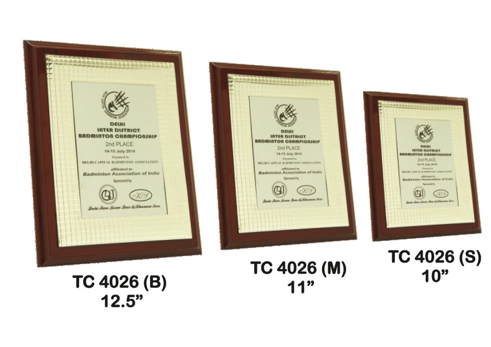 Metal Frame Trophy Manuafcturer in Delhi