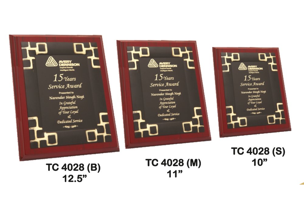 Metal Frame Trophy Manuafcturer in Delhi