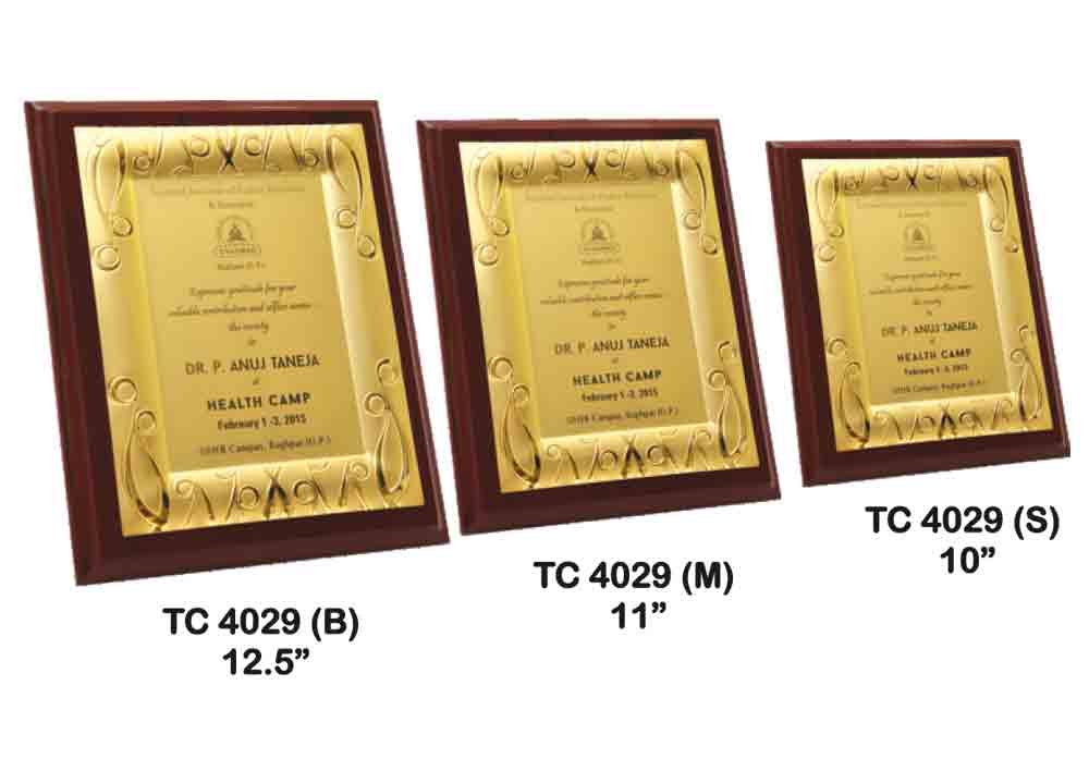 Metal Frame Trophy Maker in Delhi