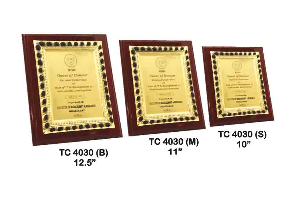 Metal Frame Trophy Manuafcturer in Delhi