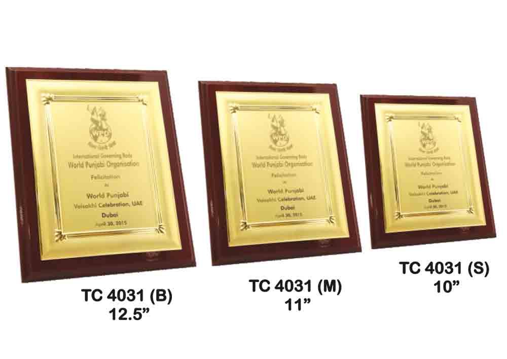 Metal Frame Trophies