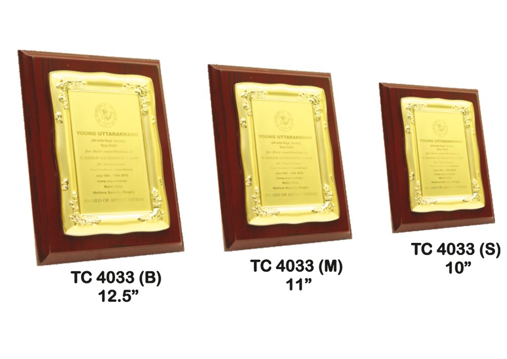 Metal Frame Trophy Manuafcturer in Delhi