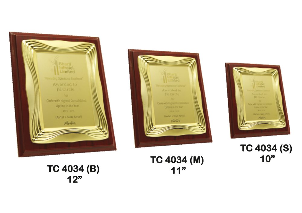 Metal Frame Trophy Manuafcturer in Delhi