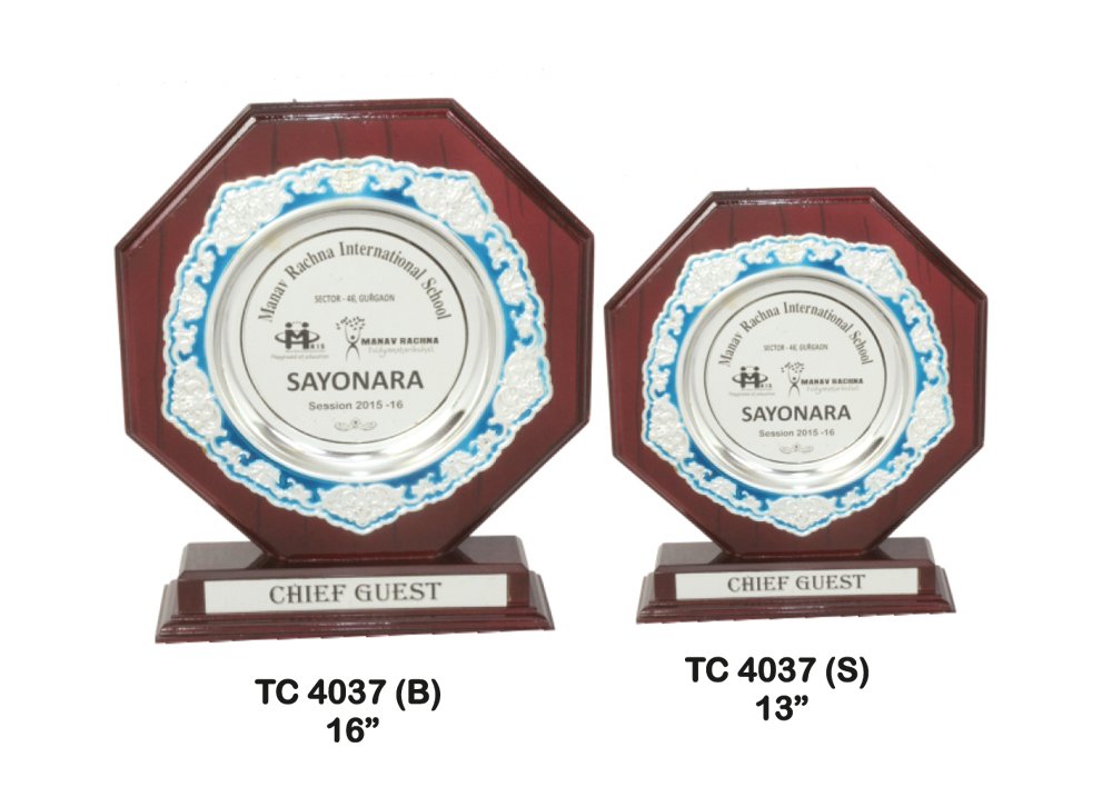Metal Frame Trophy Manuafcturer in Delhi