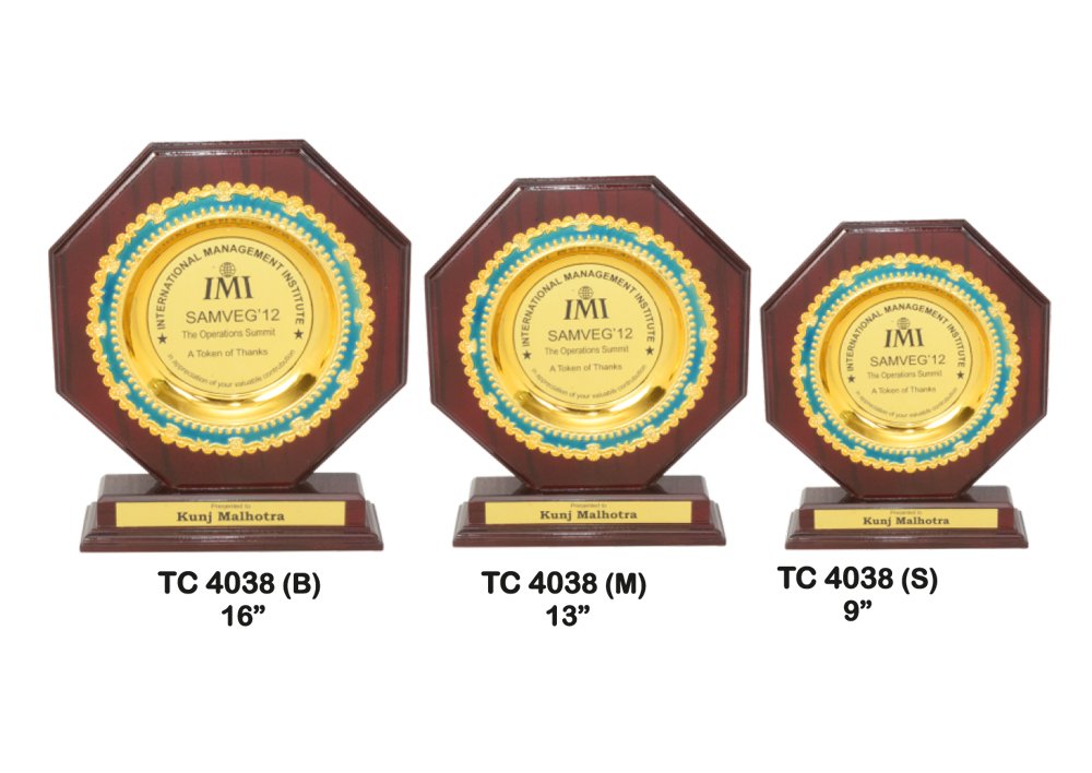Metal Frame Trophy Manuafcturer in Delhi