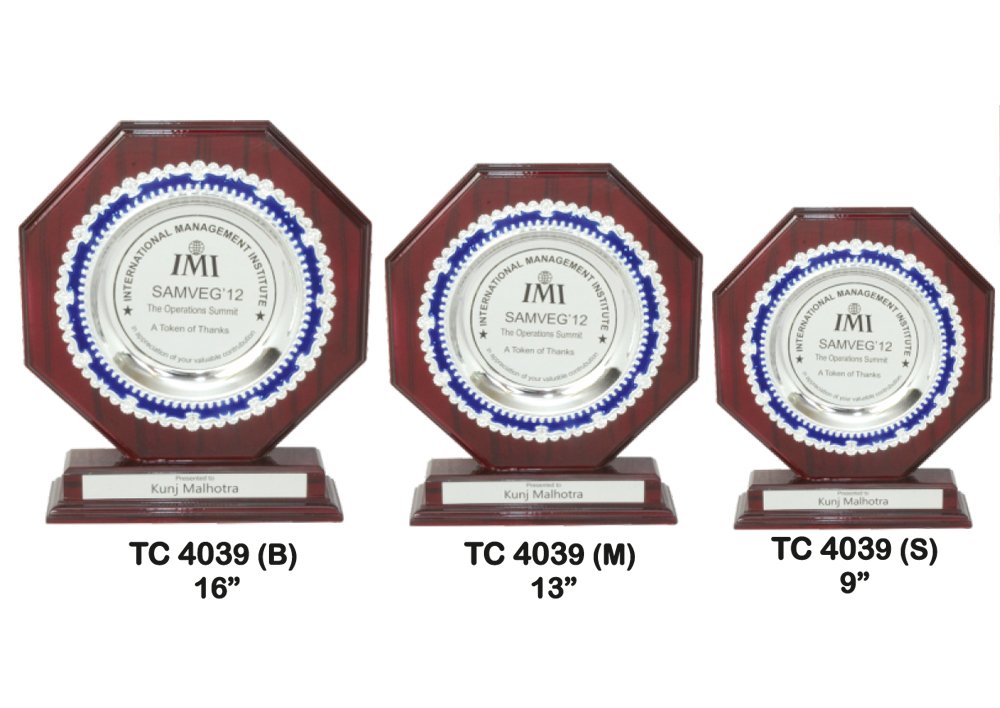 Metal Frame Trophy Manuafcturer in Delhi